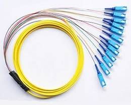 4, 6, 8, 12, 24, 48 Fibers Optional Ribbon multi-fiber Optic Pigtail for Telecommunication
