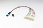 Singlemode 12 Fiber MPO To LC Ribbon Patchcord