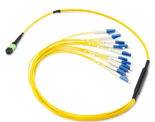 Singlemode 12 Fiber MPO To LC Ribbon Patchcord