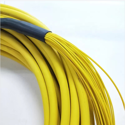 1m 2m 3m G652D 24 Core Branch SM Fc Lc Patch Cord