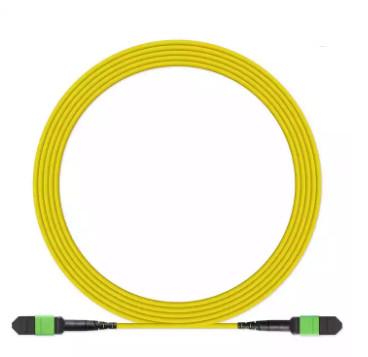 Factory Mtp-Mpo Fiber Optic Patch Cable Mpo Fiber Optic Patch Cord