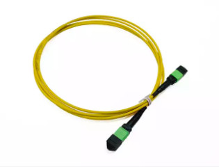 8 12 24 Core FTTX MTP MPO Fiber Optic Patch Cable for SM MM fiber