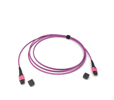 MPO UPC 3m Female Fiber Optic Patch Cord 12 24 Cores LSZH