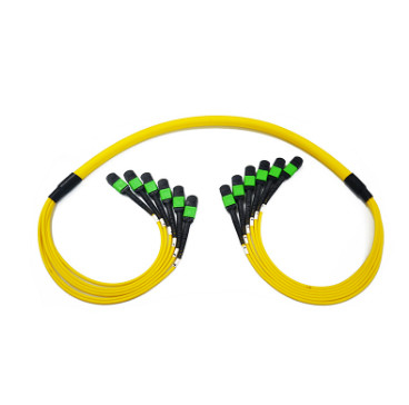 MPO Patch Cable Data Center 8 / 12 / 24 Core LSZH / PVC / OFNP