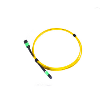 SM Fiber Optic Patch Cord MPO To MPO Fiber Optical