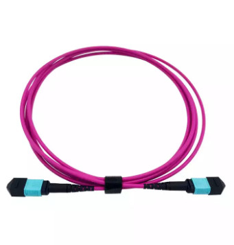 MPO OM4 12-Fiber Jumper MM Fiber Optic Patch Cord Aqua / Violet