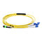 US CONNEC Singlemode MPO Products Mpo Optical Fiber Fanout Patch Cord MTP LC 12 Core
