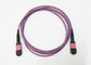 3.0mm / 3.6mm Diameter OM4 12 Cores Mpo Patch Cord