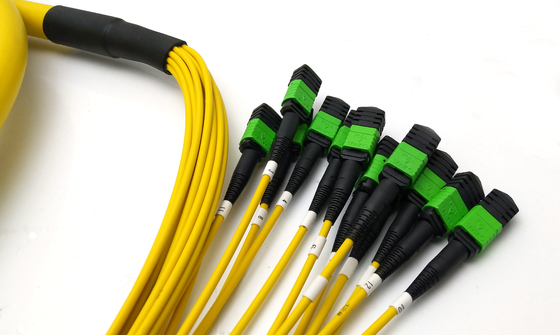 40G 100G 144 Core SM APC Mpo Patch Cable