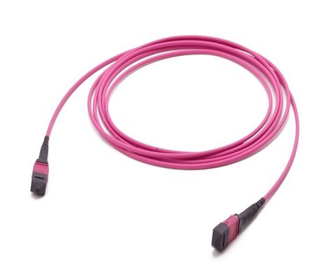 24 Way MPO MTP 40G 100G SFP OM4  Optic Fiber Patch Cord Violet 10M