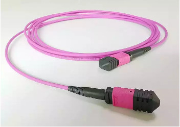 OM4 MPO MTP Fiber Optic Patch cord 8/12 Fiber Optical Pigtail