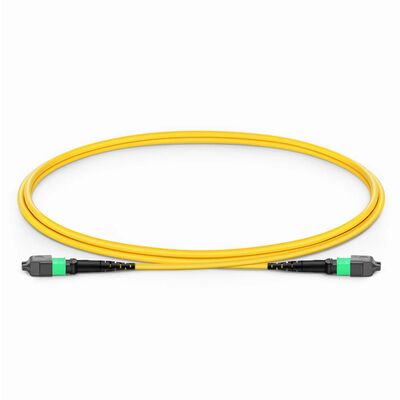 quality MPO Jumper Cable with 0.35dB Low IL for 800G QSFP-DD Transceivers and G.657.A1 Bend Insensitive Fiber factory